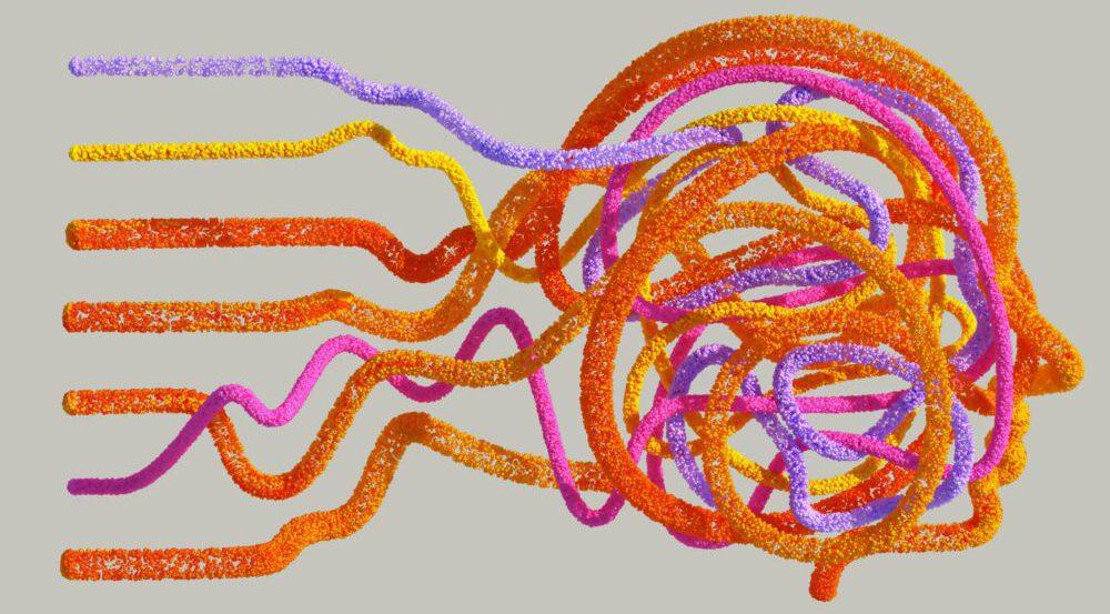 Kennis die blijft plakken